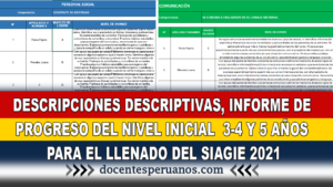 DESCRIPCIONES DESCRIPTIVAS, INFORME DE PROGRESO DEL NIVEL INICIAL 3-4 Y 5 AÑOS PARA EL LLENADO DEL SIAGIE 2021