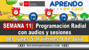 SEMANA 11| Minedu publica la 【Programación Radial】, con audios y sesiones radiales del ➜ lunes 5 al viernes 9 de Julio