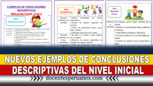 NUEVOS EJEMPLOS DE CONCLUSIONES DESCRIPTIVAS DEL NIVEL INICIAL