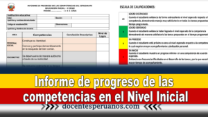 Informe de progreso de las competencias en el Nivel Inicial