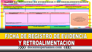 FICHA DE REGISTRO DE EVIDENCIA Y RETROALIMENTACION