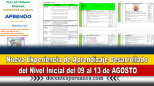 Experiencia de Aprendizaje Desarrollado del Nivel Inicial del 09 al 13 de AGOSTO