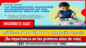 PerúEduca: CURSO VIRTUAL La Integración Sensorial (Su importancia en los primeros años de vida)