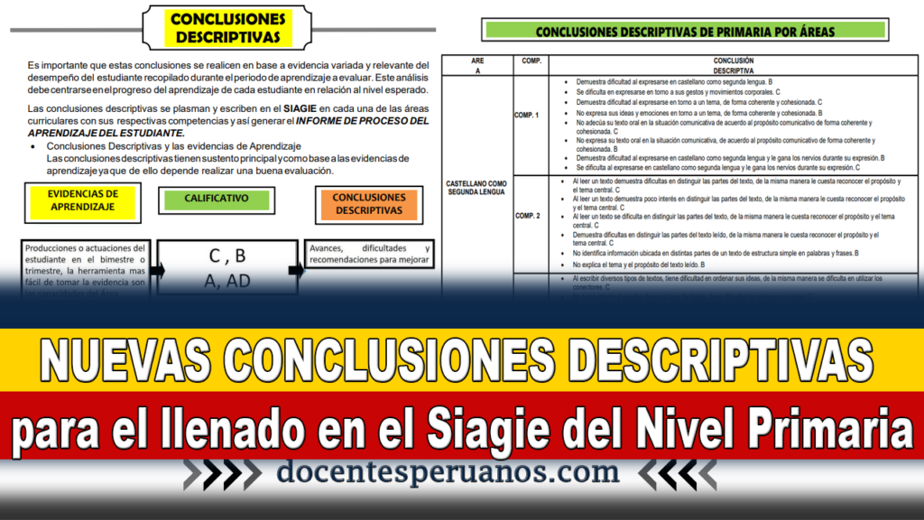 NUEVAS CONCLUSIONES DESCRIPTIVAS para el llenado en el Siagie del Nivel Primaria