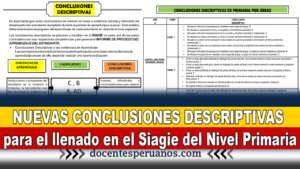 NUEVAS CONCLUSIONES DESCRIPTIVAS para el llenado en el Siagie del Nivel Primaria