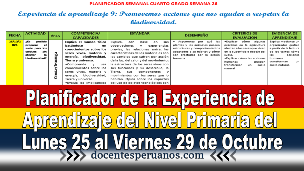 Planificador de la Experiencia de Aprendizaje del Nivel Primaria del Lunes 25 al Viernes 29 de Octubre