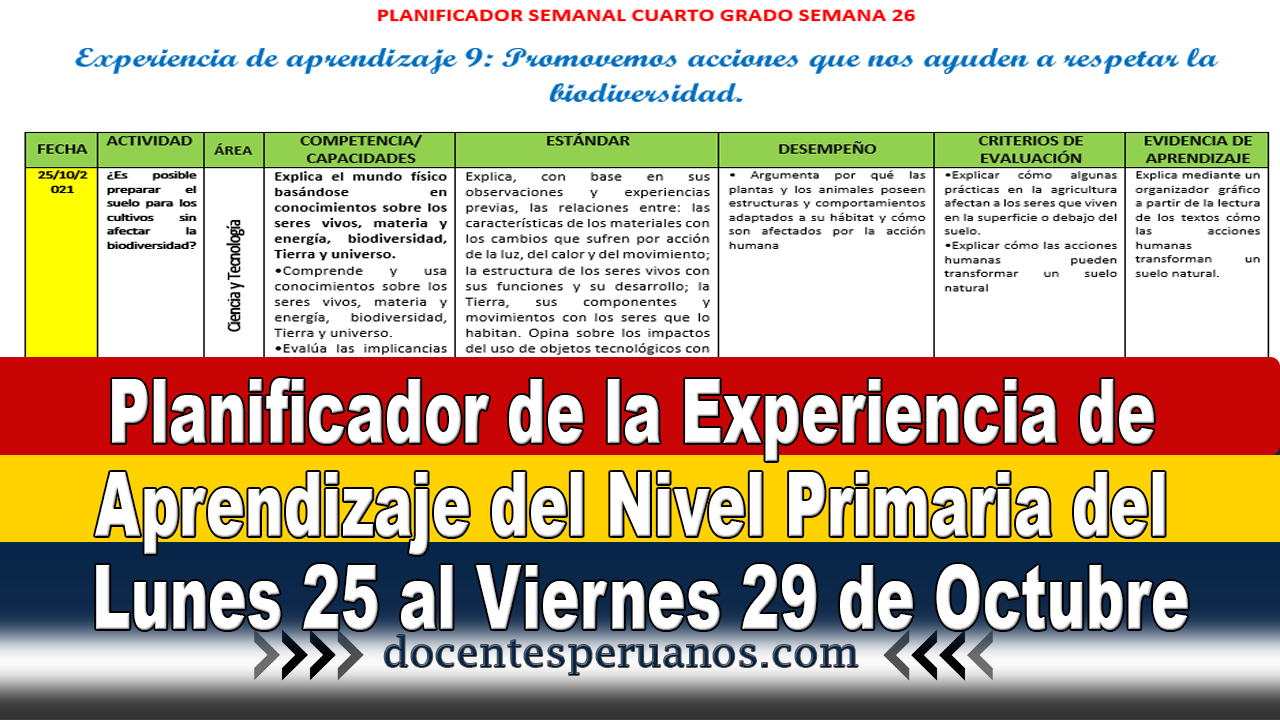 Planificador De La Experiencia De Aprendizaje Del Nivel Primaria Del Lunes 25 Al Viernes 29 De 9029