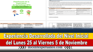 Experiencia Desarrollada del Nivel Inicial del Lunes 25 al Viernes 5 de Noviembre