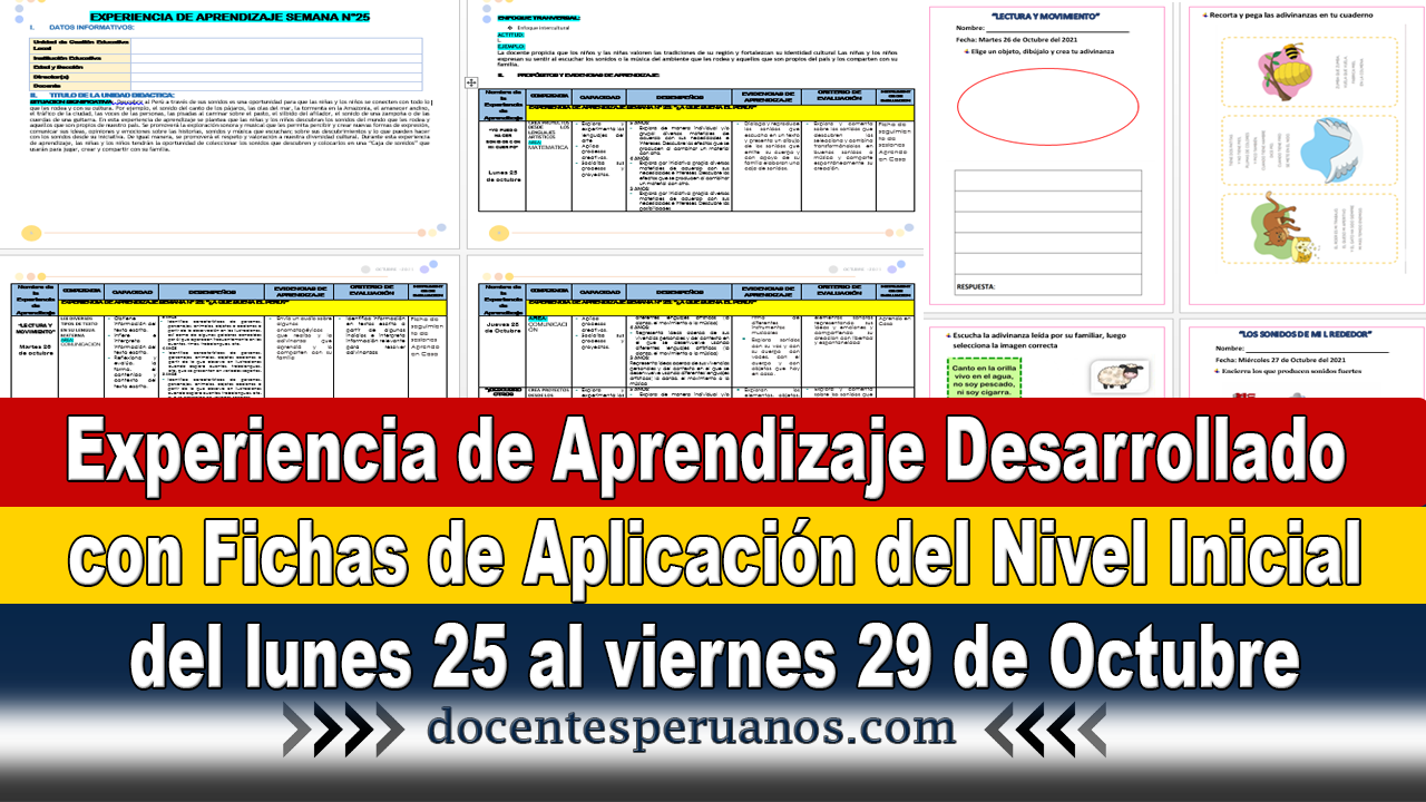 Experiencia De Aprendizaje Desarrollado Con Fichas De Aplicación Del ...