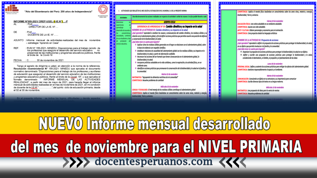 NUEVO Informe mensual desarrollado del mes  de noviembre para el NIVEL PRIMARIA