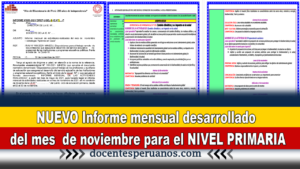 NUEVO Informe mensual desarrollado del mes  de noviembre para el NIVEL PRIMARIA