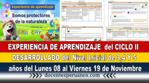 EXPERIENCIA DE APRENDIZAJE del CICLO II DESARROLLADO del Nivel Inicial de 3,4 Y 5 años del Lunes 08 al Viernes 19 de Noviembre