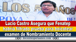 Lucio Castro Asegura que Fenatep habría filtrado prueba para boicotear examen de Nombramiento Docente