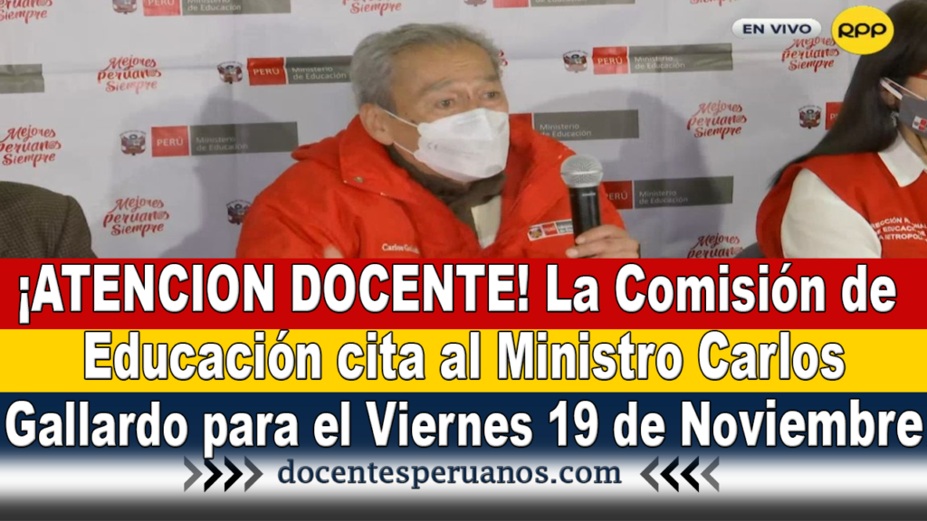 ¡ATENCION DOCENTE! La Comisión de Educación cita a Ministro Carlos Gallardo para el Viernes 19 de Noviembre