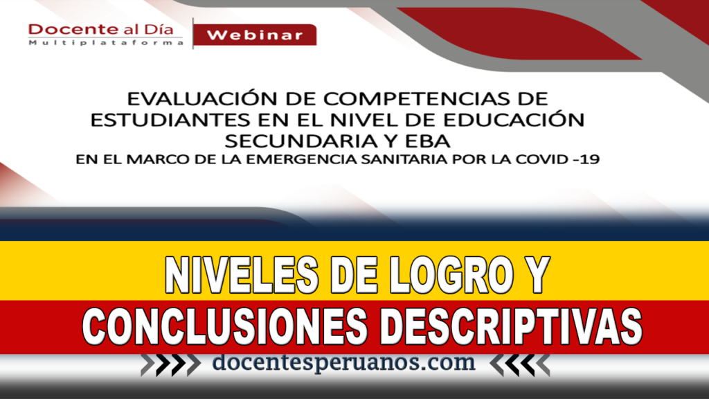 NIVELES DE LOGRO Y CONCLUSIONES DESCRIPTIVAS