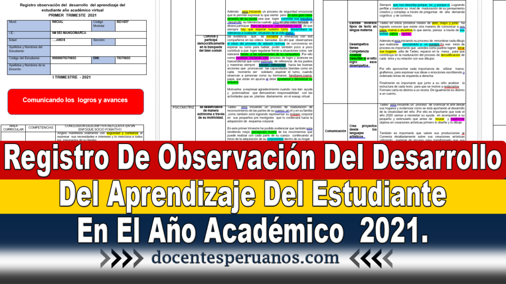 Registro De Observación Del Desarrollo Del Aprendizaje Del Estudiante En El Año Académico  2021.