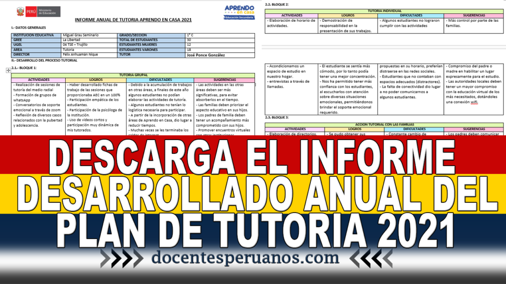 DESCARGA EL INFORME DESARROLLADO ANUAL DEL PLAN DE TUTORIA 2021