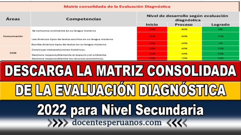 Descarga La Matriz Consolidada De La Evaluaci N Diagn Stica Para