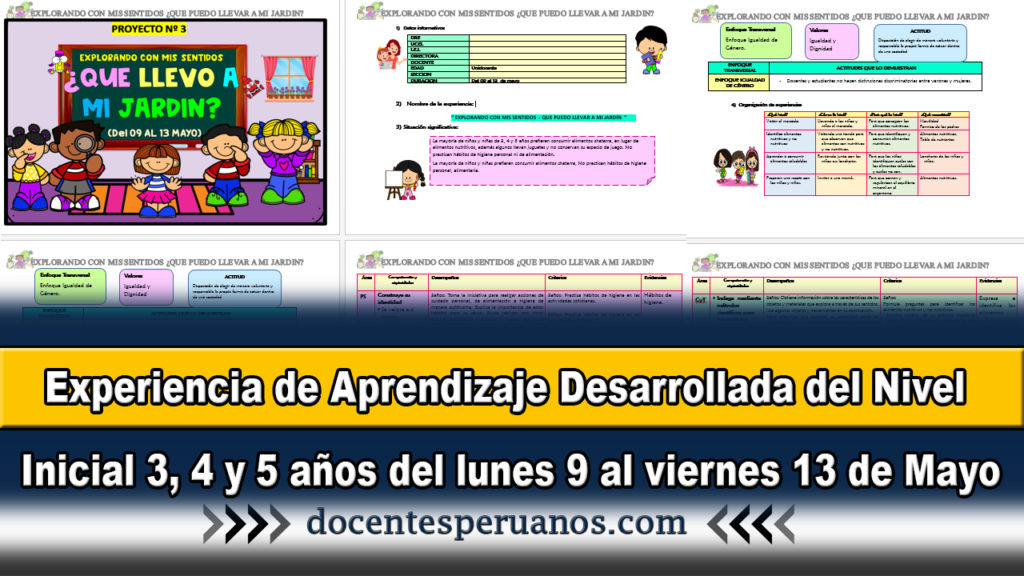 Experiencia de Aprendizaje Desarrollada del Nivel Inicial 3, 4 y 5 años del lunes 9 al viernes 13 de Mayo