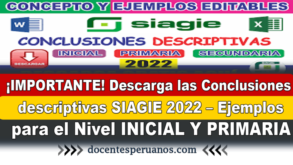 ¡IMPORTANTE! Descarga las Conclusiones descriptivas SIAGIE 2022 – Ejemplos para el Nivel INICIAL Y PRIMARIA