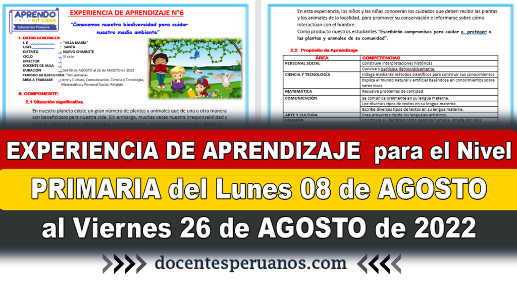 EXPERIENCIA DE APRENDIZAJE para el Nivel PRIMARIA del Lunes 08 de AGOSTO al Viernes 26 de AGOSTO de 2022