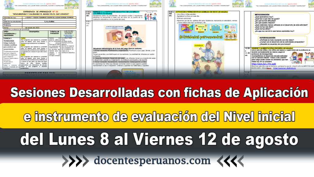 Sesiones Desarrolladas con fichas de Aplicación e instrumento de evaluación del Nivel inicial del Lunes 8 al Viernes 12 de agosto