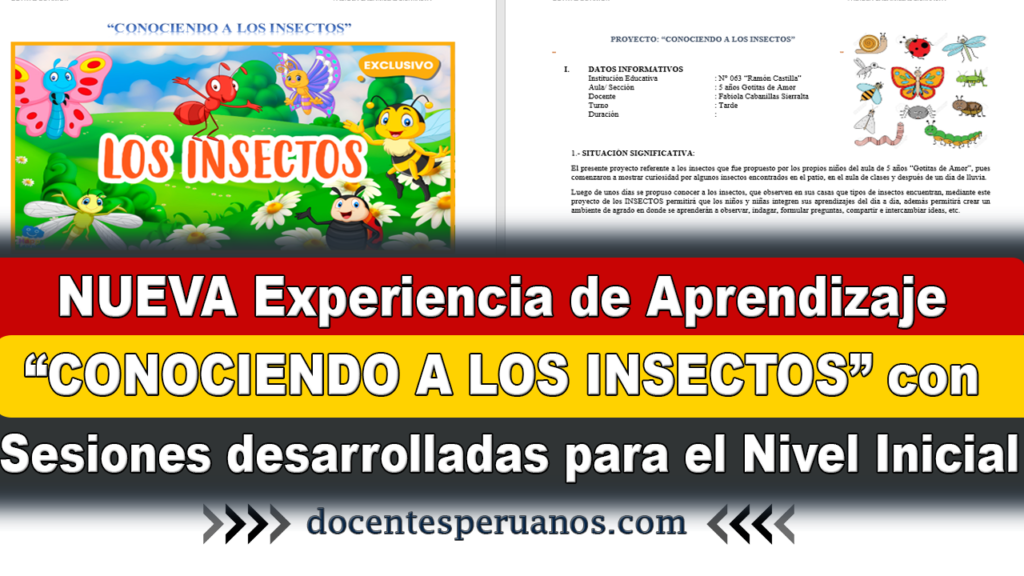 NUEVA Experiencia de Aprendizaje “CONOCIENDO A LOS INSECTOS” con Sesiones desarrolladas para el Nivel Inicial