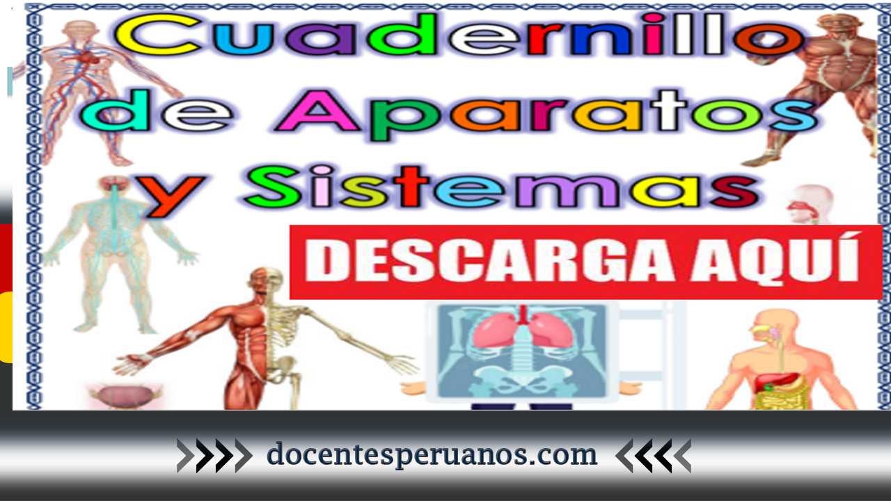 ¡DESCARGA GRATIS! CUADERNILLO DE APARATOS Y SISTEMAS DEL CUERPO HUMANO.